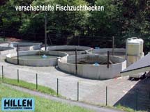 verschachtelte Fischgutzuchtbecken